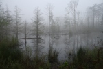 A misty morning at Indian Springs Campground